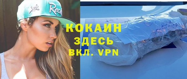 шишки Ладушкин